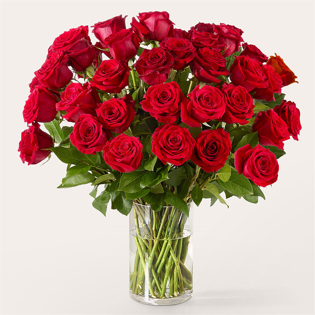 The One Red Rose Bouquet – BELMA'S PRECIOUS FLOWERS, Kodiak AK