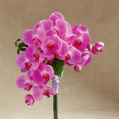 Glorious Bouquet – BELMA'S PRECIOUS FLOWERS, Kodiak AK