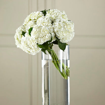 White Hydrangea Hand-Tied Bouquet – BELMA'S PRECIOUS FLOWERS, Kodiak AK