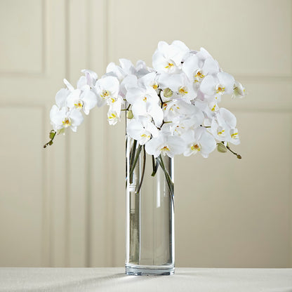 White Phalaenopsis Bouquet – BELMA'S PRECIOUS FLOWERS, Kodiak AK